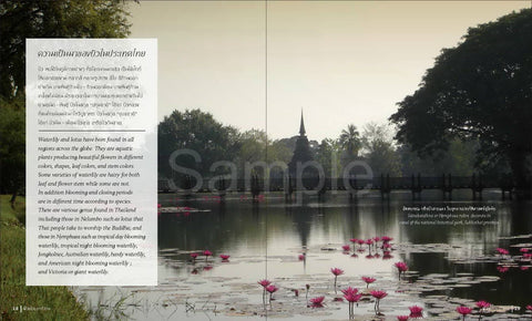 Thai Nationality Waterlily in Pang U Bon by Primlarp Wasuwat & Komgrit Chukiatman Hardcover - pondmegastore