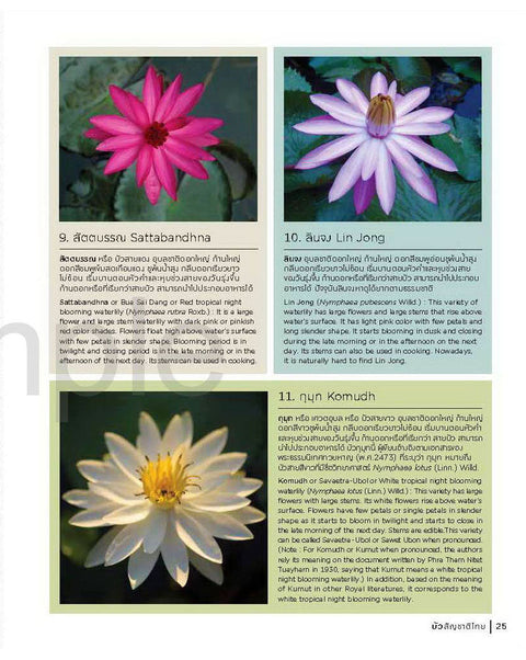 Thai Nationality Waterlily in Pang U Bon by Primlarp Wasuwat & Komgrit Chukiatman Hardcover - pondmegastore