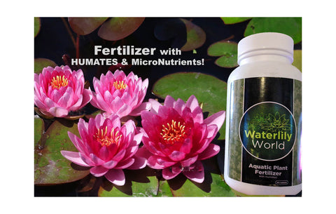 Waterlily World Pond Tabs + Humates (Choose Size)