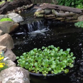 Nycon Floating Plant/Koi fish Barrier<br> (4 Sizes to choose from) <br> Protect floating plants from koi - pondmegastore