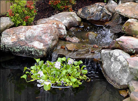 Nycon Floating Plant/Koi fish Barrier (4 Sizes to choose from)  Protect floating plants from koi - pondmegastore