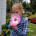 Luna Pink Swirl Hibiscus (Moscheutos) <br> WINTER HARDY <br> - pondmegastore