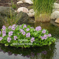 Nycon Floating Plant/Koi fish Barrier<br> (4 Sizes to choose from) <br> Protect floating plants from koi - pondmegastore