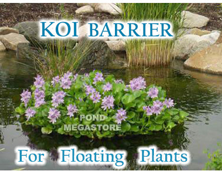 Nycon Floating Plant/Koi fish Barrier (4 Sizes to choose from)  Protect floating plants from koi - pondmegastore