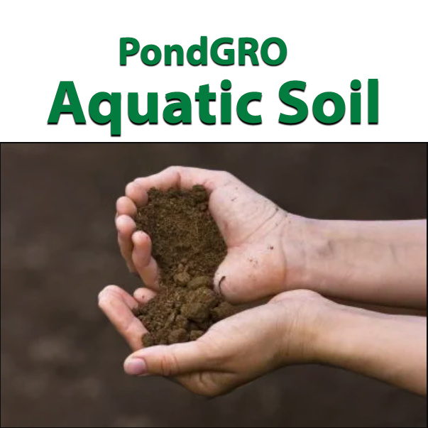 Natural Lotus Pond Mud – Aquatic Plant Nutrient Soil For Bowl Lotus, Water Lily, 200g Bag