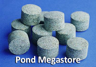 Pond Tabbs Aqauatic Plant Fertilizer (Choose Size) - pondmegastore