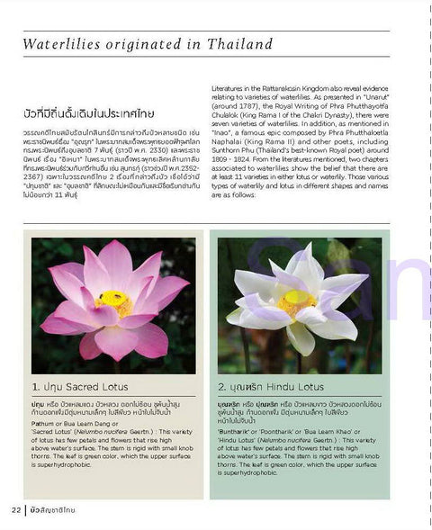 Thai Nationality Waterlily in Pang U Bon  by Primlarp Wasuwat & Komgrit Chukiatman  Hardcover - pondmegastore