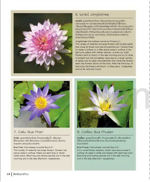 Thai Nationality Waterlily in Pang U Bon  by Primlarp Wasuwat & Komgrit Chukiatman  Hardcover - pondmegastore